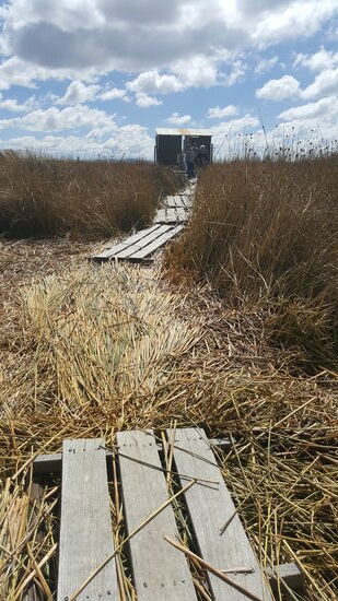 Auch wenn der Weg zu diesen manchmal weit und schwierig ist 