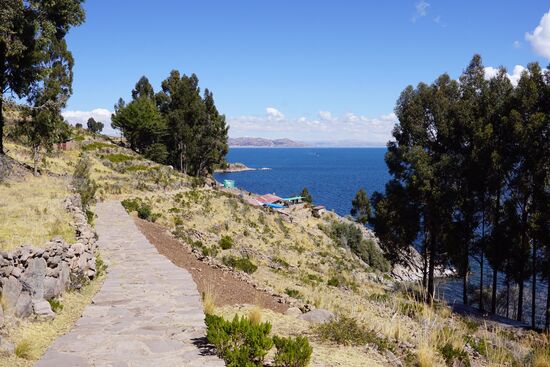 Dort hinten soll es Lunch geben