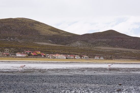 Salzsee mit Flamingos