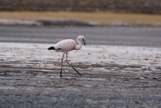 Wovon leben die hier?