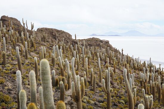 Wir bekommen eine Stunde, um die Insel zu erklimmen und erkunden.