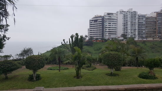 Hochhäuser neben Grünanlagen am Meer