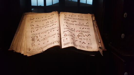 Hier sind unzählige Schätze