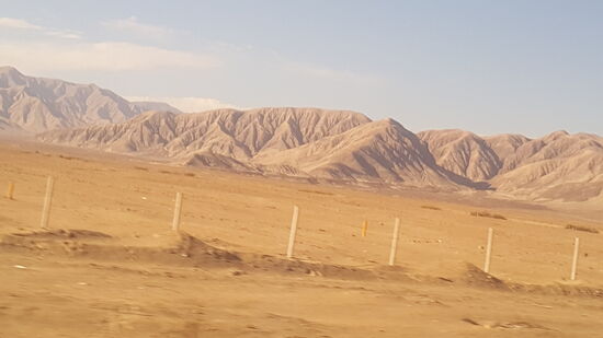 Gleich haben wir Nasca erreicht—der Bus ist pünktlich—respekt!