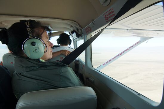 Angestrengtes hinausschauen...