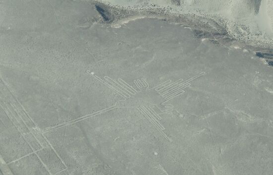 Hummingbird von der anderen Seite..