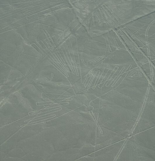 Der Condor—bald bekommt man einen Blick dafür und sieht die Bilder gut