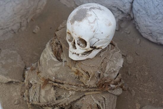 Hier fehlen natürlich auch die langen Haare..