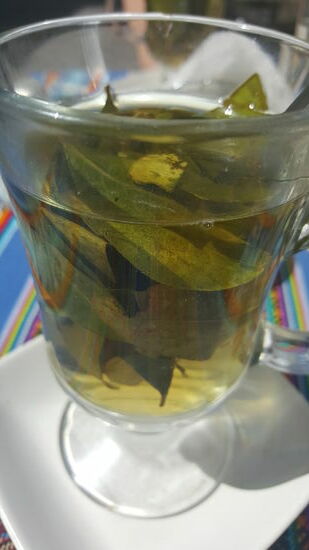 Unser erster Coca-Tee. Dieser wird hier überall angeboten. Er soll gut sein gegen die Höhenkrankheit