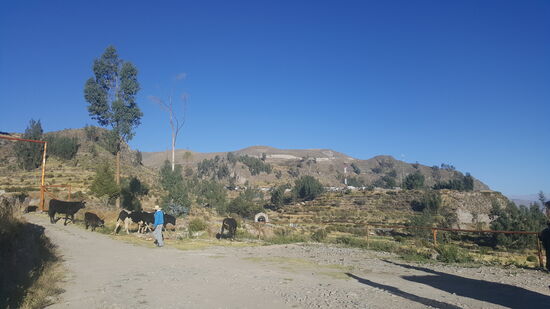 Wir machen einen Stop, um die tolle Aussicht zu genießen.