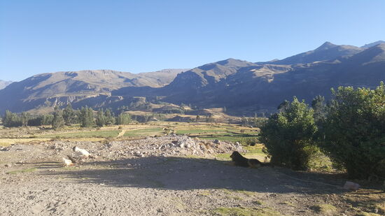 Der Blick ist immer einzigartig