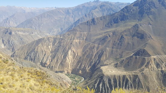 Der Colca Canyon wurde erst 1981 von einem Polen entdeckt.
