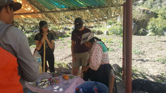 Hier bei der alten Dame kaufen wir noch mal Wasser, Müsliriegel und Obst.
Sie freut sich und pflückt uns ein paar Erbsen vom Feld.