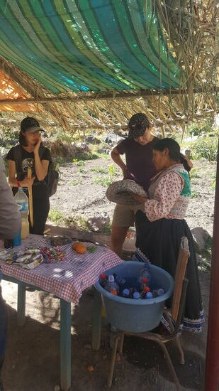 Wir haben ihr fast alles abgekauft. Am Baum entdecken wir eine Avocado, Thalias Lieblingsfrucht—aber die möchte sie uns nicht verkaufen....schade!