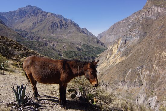 Aber nach 2 Stunden quäle ich mich schon wieder...es geht wieder bergauf und bergab...wir verlieren wieder den Anschluß und zuckeln hinter den anderen her...
