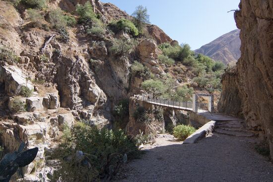 Da ist endlich die Brücke!! Und schaut euch den verrückten Alex an...