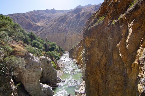 Hier an der Brücke ist wieder Treffpunkt