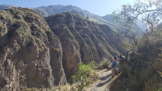 Dann gehts endlich los—immer mal wieder ein Stop und Clever erklärt uns etwas.
So wie hier, wo man 3 Löcher weit oben im Felsen sieht