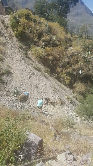 Alex der Verrückte entdeckt da unten einen Ball und will ihn raufholen..