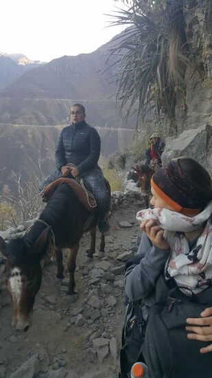 Im letzten Drittel überholen uns die Reiter...wir haben etwas Druck: um 8 Uhr müssen wir oben sein, sonst verpassen wir das Frühstück—