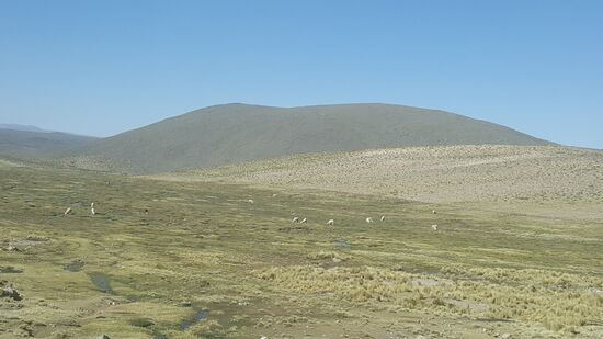 Wir fahren langsam wieder herunter und sehen jetzt viele Lama- Herden