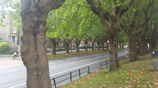 Auf dem Weg ein paar schöne Reihenhäuser mit bunten Haustüren
