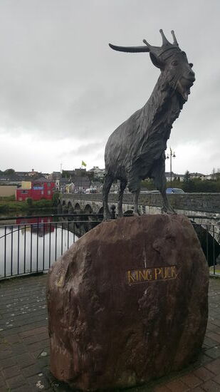 Uns stoppen in der Puck -Stadt "Killorgrin"