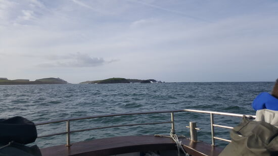 Es dauert fast eine Stunde bis wir Little Skellig und dann schließlich Skellig Michael erreichen