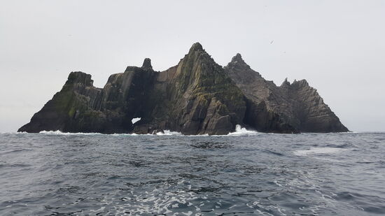 Little Skellig ist eine Brutinsel  für Basstölpel. Es gibt hier 27000 Kolonien dieser Vogelart