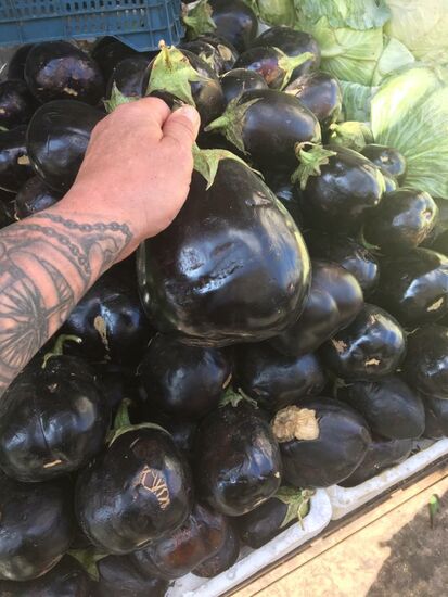 Riesenauberginen....da sclägt das Kochherz des Fotografen höher....was könnte er daraus für schmackhaffe Dinge zubereiten.