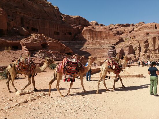 Immer wieder werden wir angesprochen, ob wir nicht Kamle-oder Eseltaxi möchten—jeder möchte ein Geschäft machen..