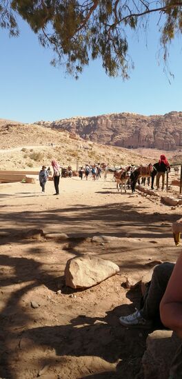 ...das könnte er sein, da kommen Menschenmassen her... und los geht's!!