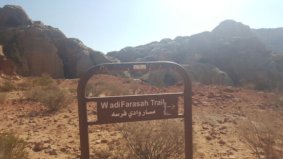 Ach ja: unsere heutige Strecke ist der „Wadi Farasah Trail“