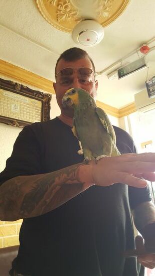 Der Papagei „Cookie“ begrüßt und erfreut jeden Neuankömmling
