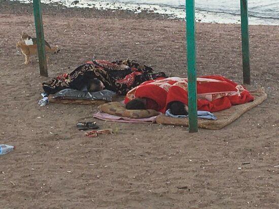 ...andere am Strand mit den unzähligen Katzen zusammen