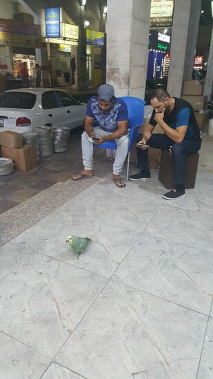 Huhuuu....hier bin ich...