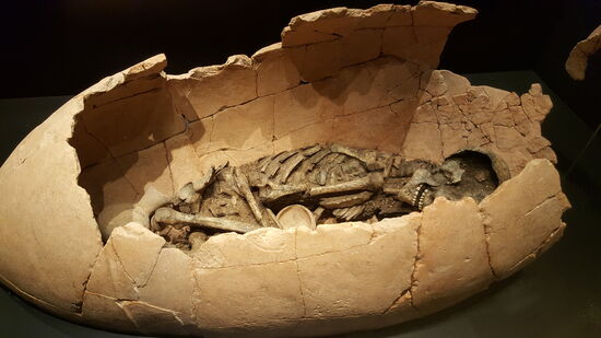 Skelette und Mumien....