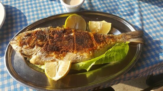 Sehr sehr lecker der frisch gegrillte Fisch...eine Dorade