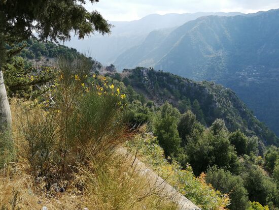 Die Landschaft in den Bergen, teils grün und üppiger Wuchs...