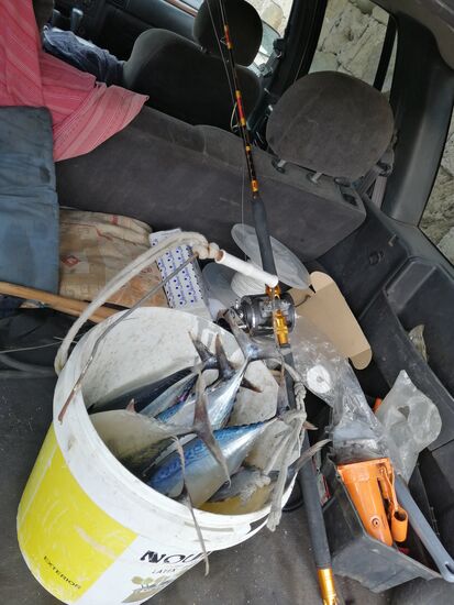 Bringt den Angler und seine Beute noch heim...