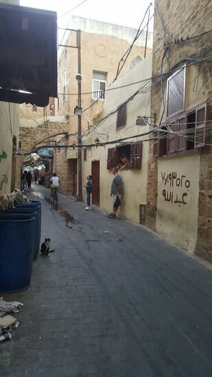 Irgendwann finden wir den Rückweg