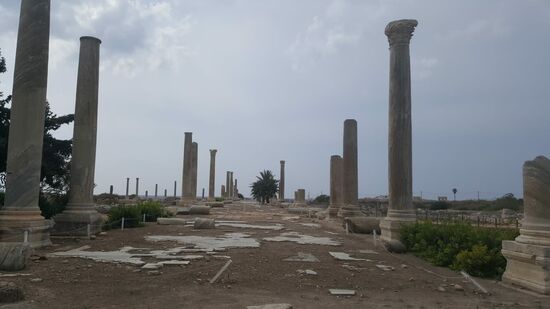 Mosaike gibt es noch reichlich zu sehen. Diese sind noch nicht mal geschützt.
Ich kann einfach so drüber laufen...