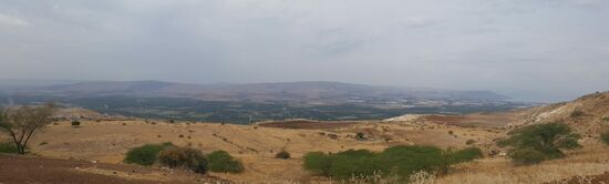 Hier ist der Grenzverlauf zu Israel genau zu sehen. Unser Fahrer erzählt uns, dass erst letzte Woche 2 Dörfer von Israel zu Jordanien gewechselt haben. Er zeigt uns die 2 Dörfer und wir sind sprachlos