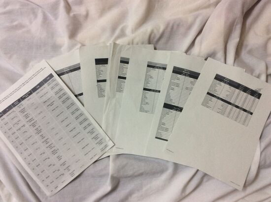 Ich habe den kompletten Busplan und alle Verbindungen ausgedruckt