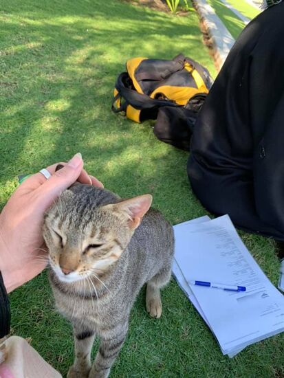 Claudia hat ene neue Freundin....