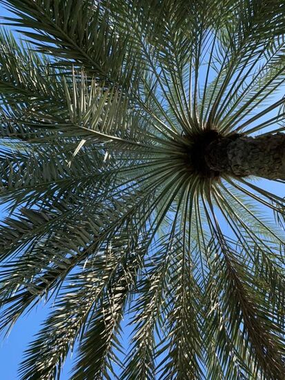 Wir entspannen etwas...