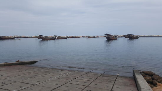 Und bestaunen die Dhows...das sind arabische Segelschiffe