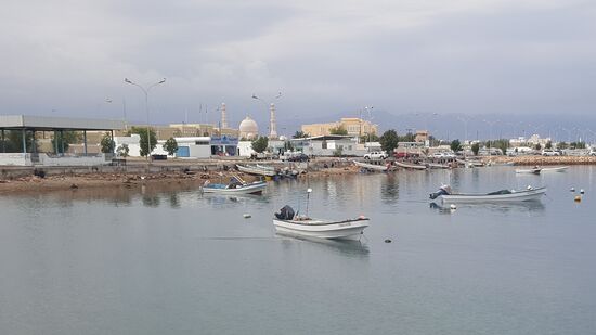 Sehr schön, hinten die Moschee—und wir amüsieren uns über die Lachmöwen, die in vielen Varianten lachen