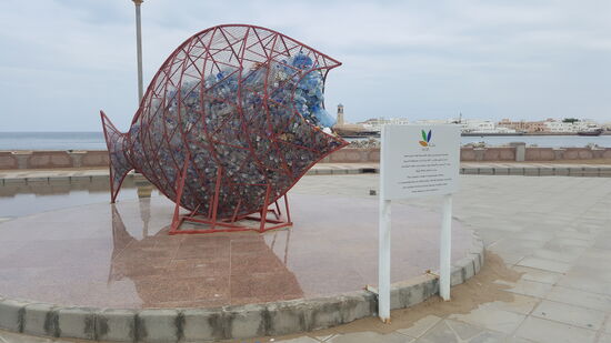 ...und ein Fisch mit Plastikmüll  im " Magen"