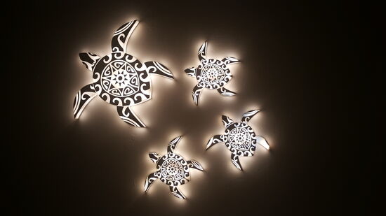 Willkommen bei den Schildkröten!